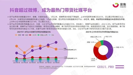 食品內容型社交電商 數字化浪潮下的新零售圖景