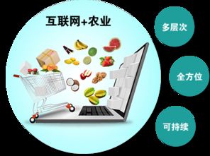 農(nóng)產(chǎn)品觸網(wǎng) 互聯(lián)網(wǎng)時(shí)代，誰(shuí)是下一個(gè)超級(jí)代言人？